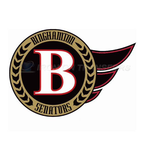 Binghamton Senators Iron-on Stickers (Heat Transfers)NO.8978